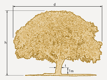 apr_0pd010_arbol